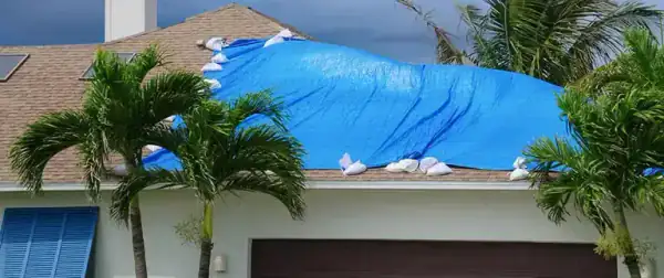 Same-day tarp