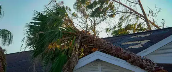 Tree or blown-off roof